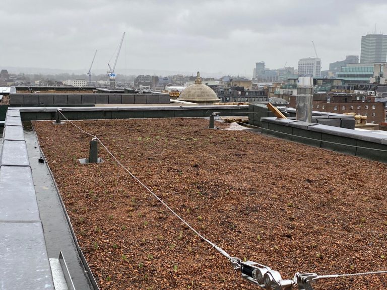Cavendish Square London Leadwork Roof Slate Lead
